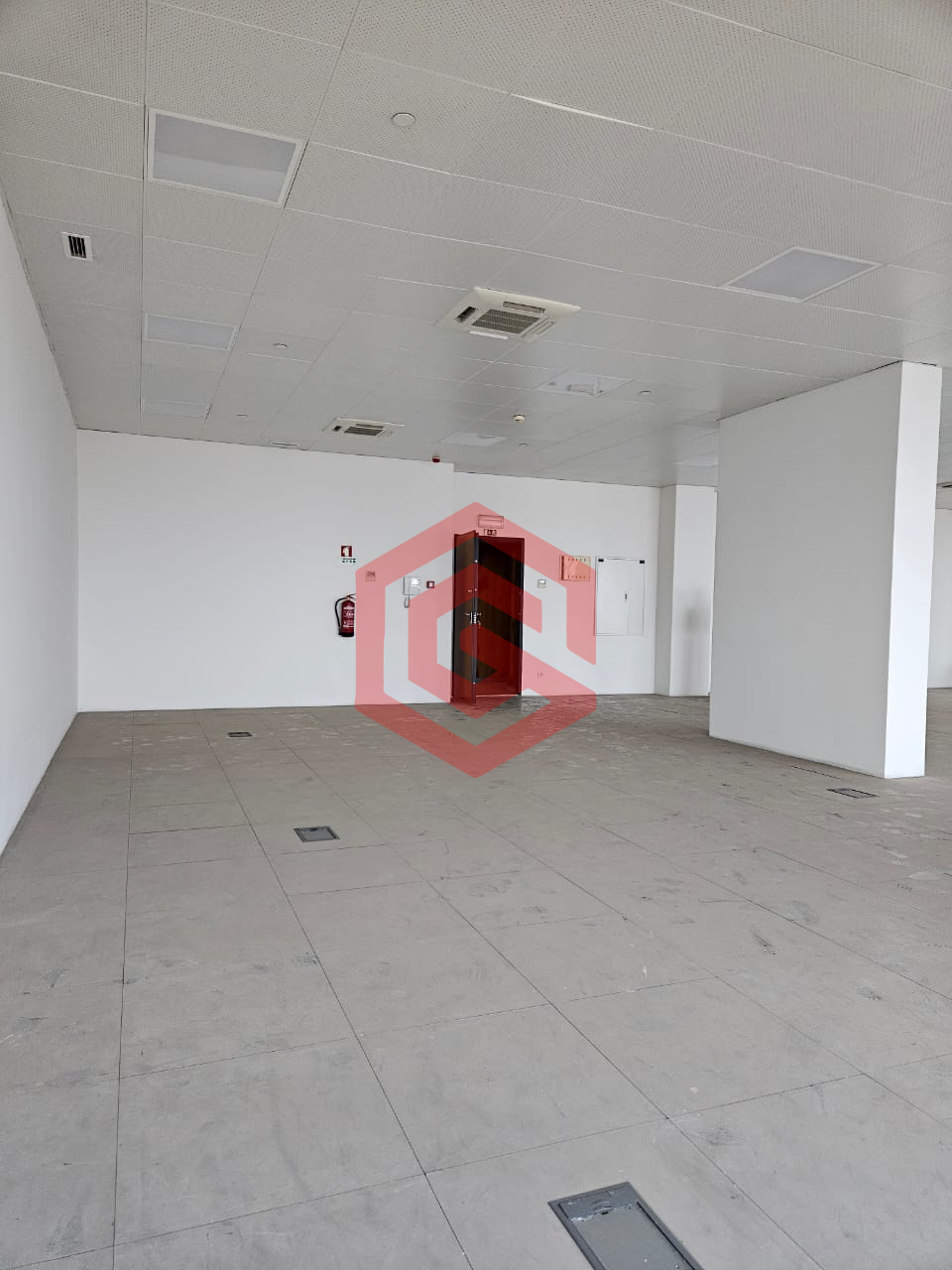 WhatsApp Image 2026-01-27 at 12.39.4fshj