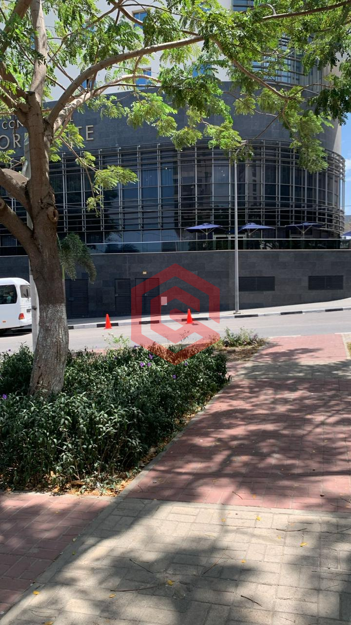 WhatsApp Image 2026-02-08 at 15.26.46 sr