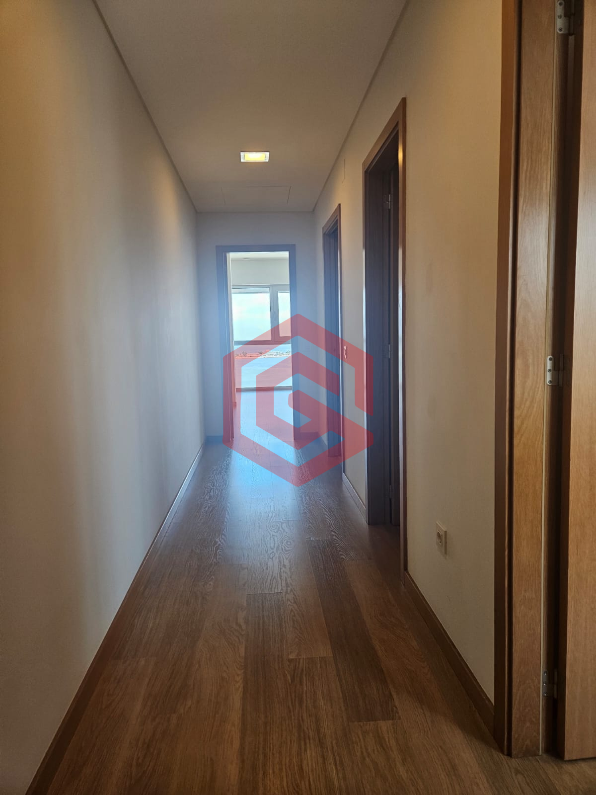 WhatsApp Image 2026-02-10 at 11.52.08