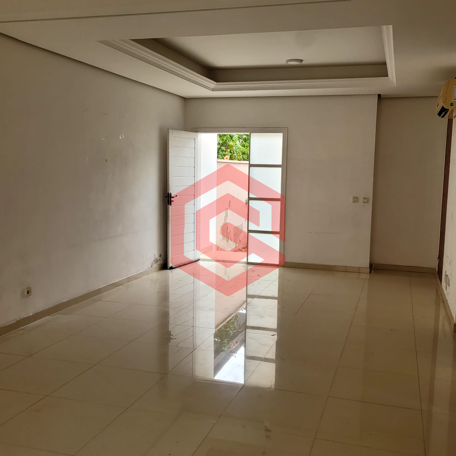 WhatsApp Image 2026-02-11 at 10.31.31 (1)