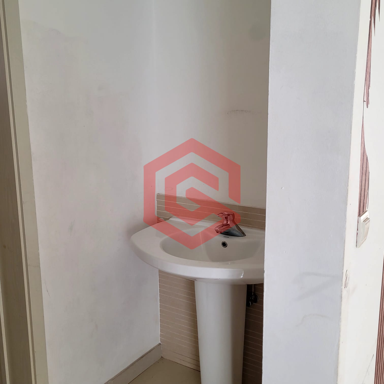 WhatsApp Image 2026-02-11 at 10.31.32