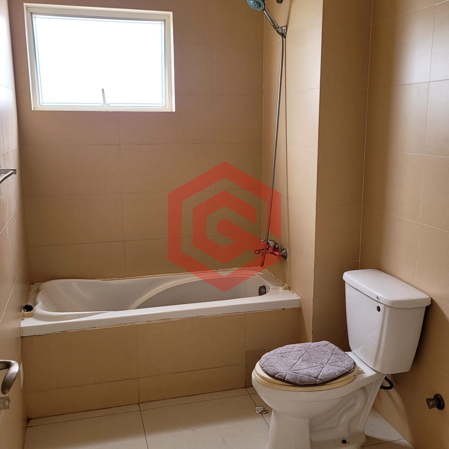 WhatsApp Image 2026-02-11 at 10.31.34