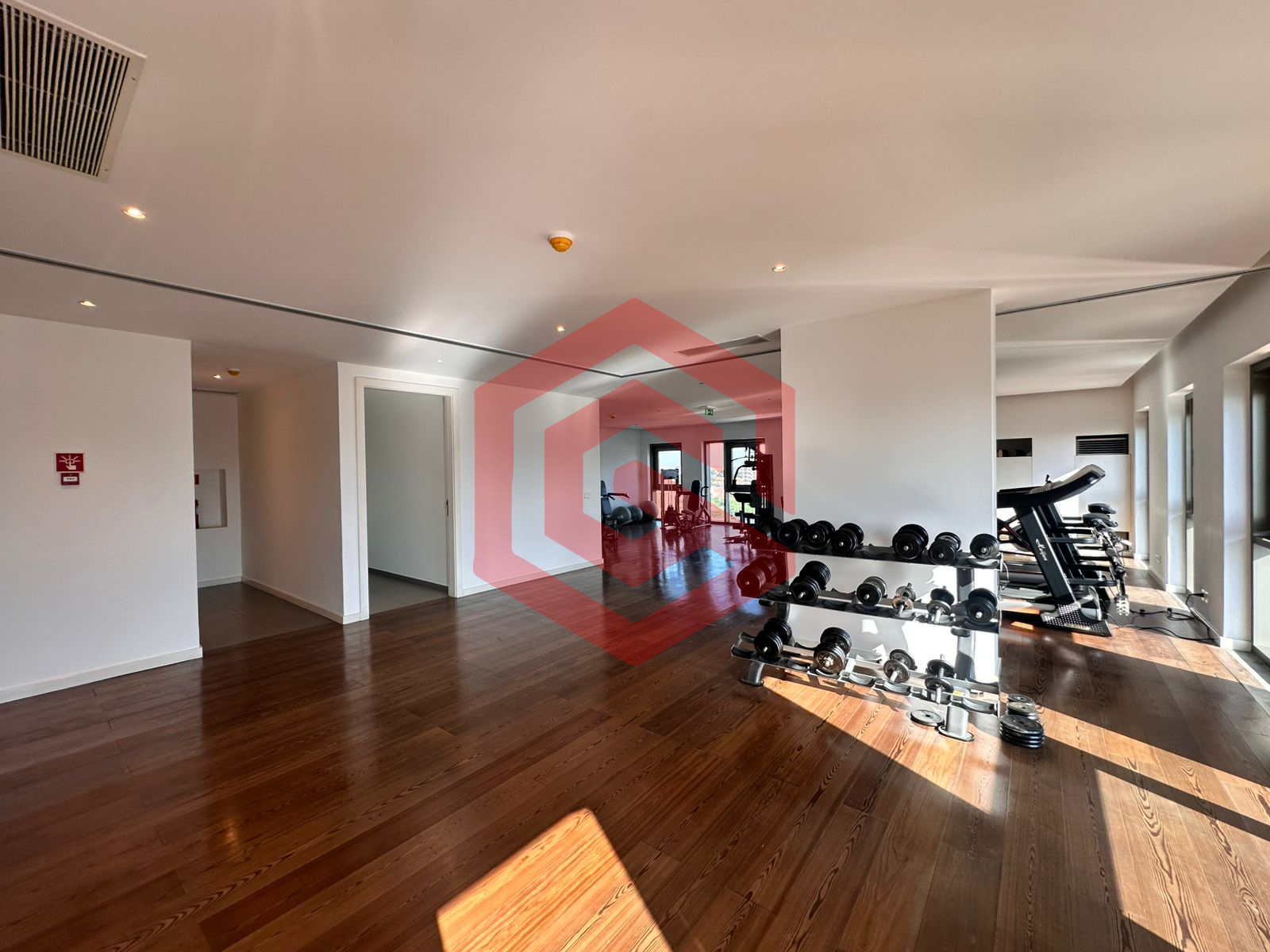 WhatsApp Image 2026-02-12 at 17.19.10 WJTD