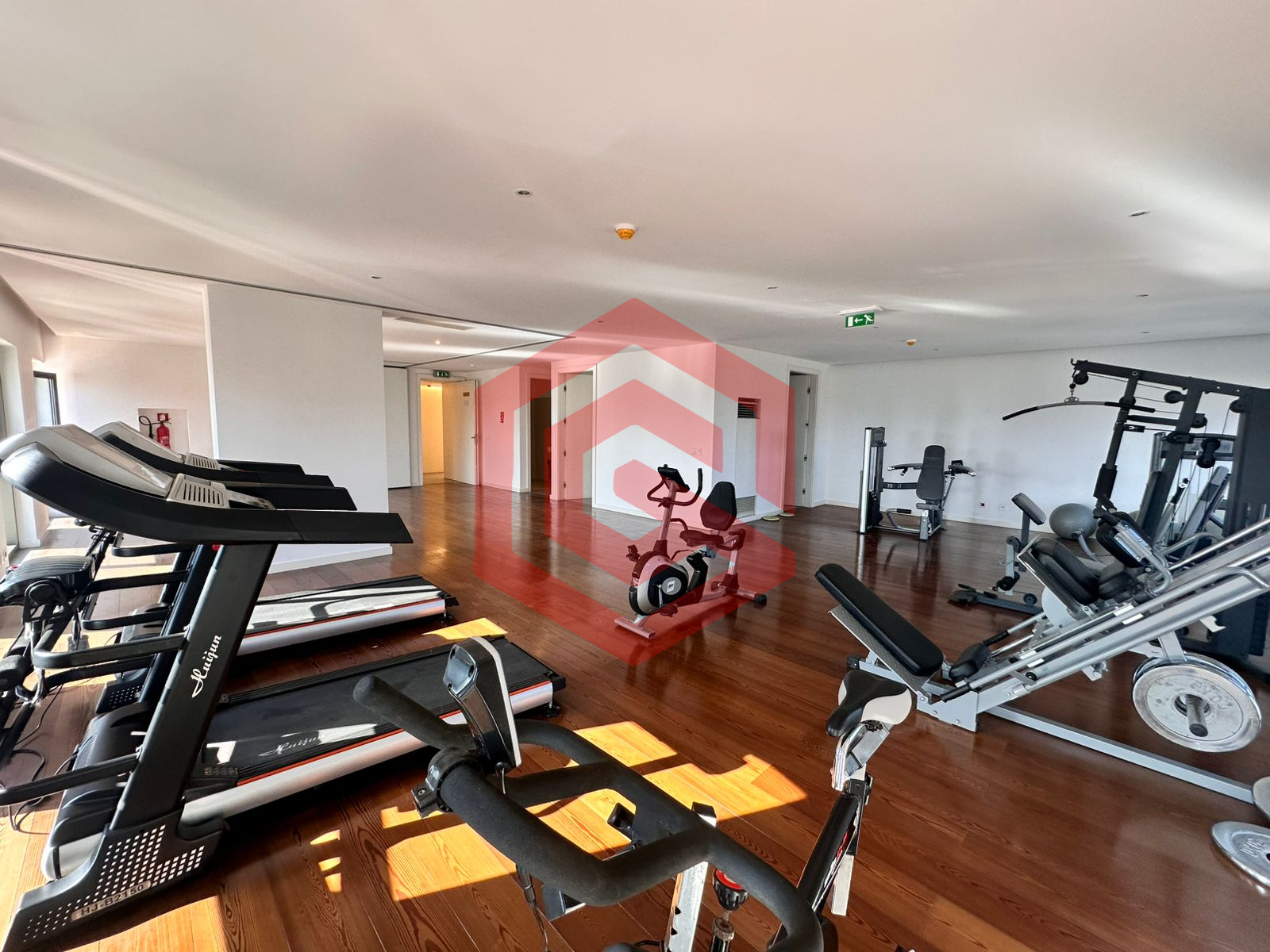 WhatsApp Image 2026-02-12 at EJ