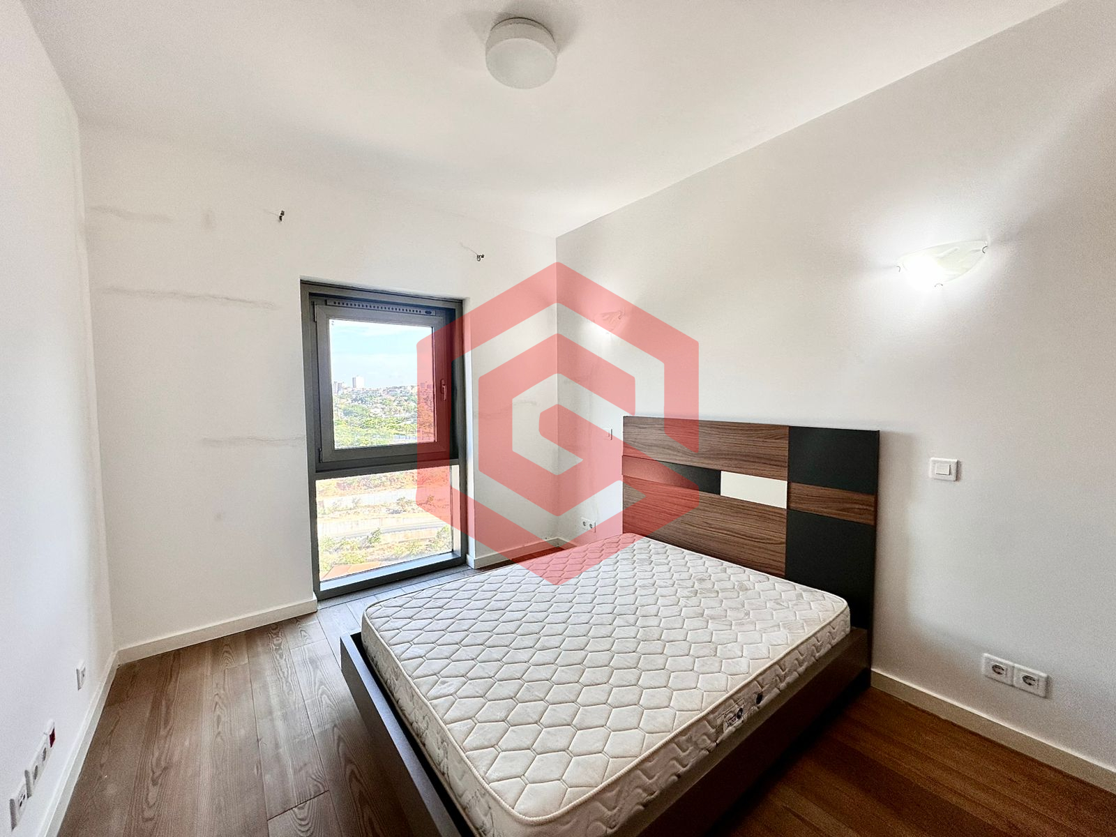 WhatsApp Image 2026-02-12 at RH