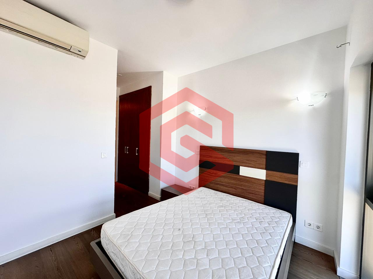 WhatsApp Image 2026-02-12 at SF