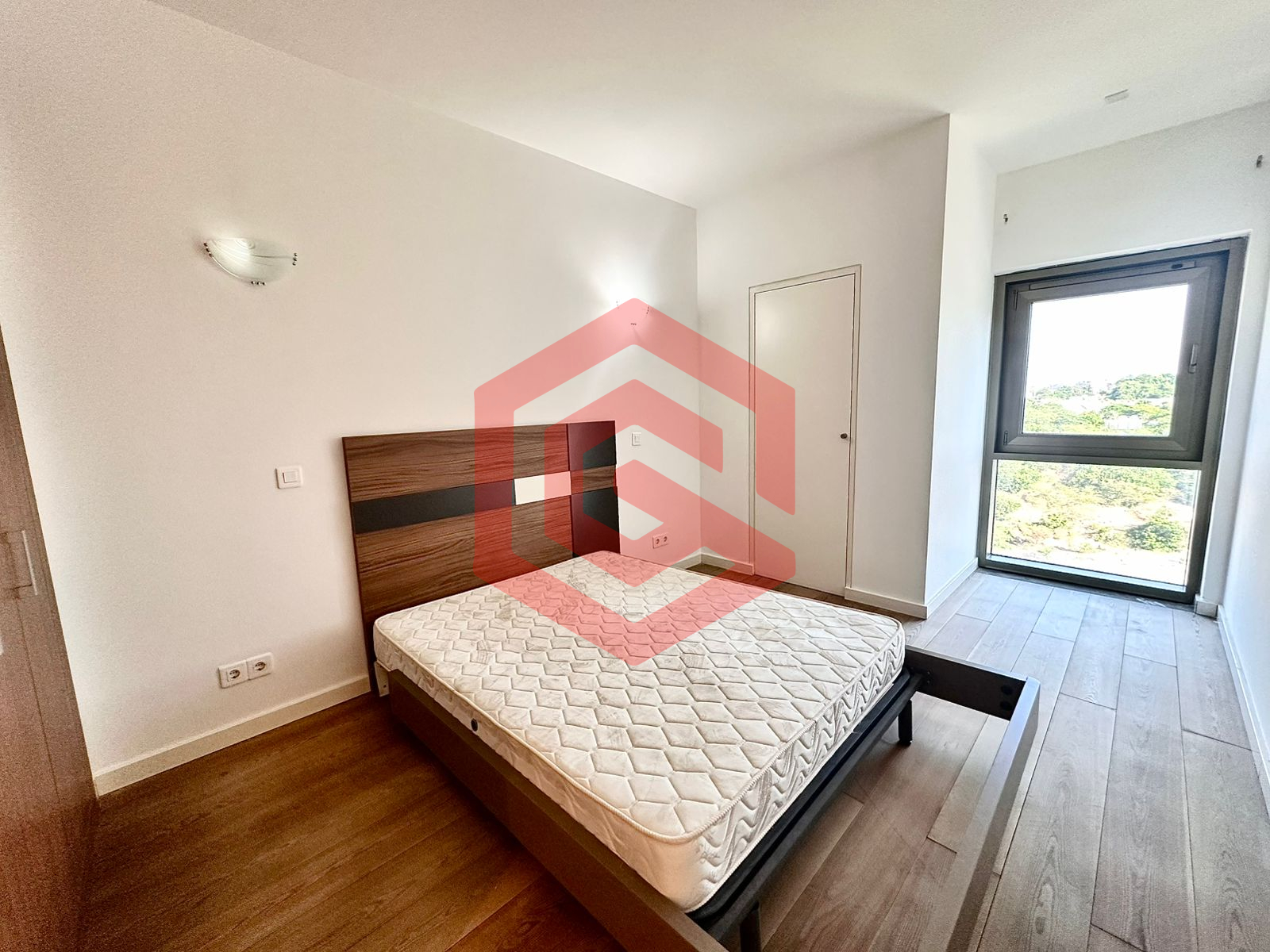 WhatsApp Image 2026-02-12 at TUJ