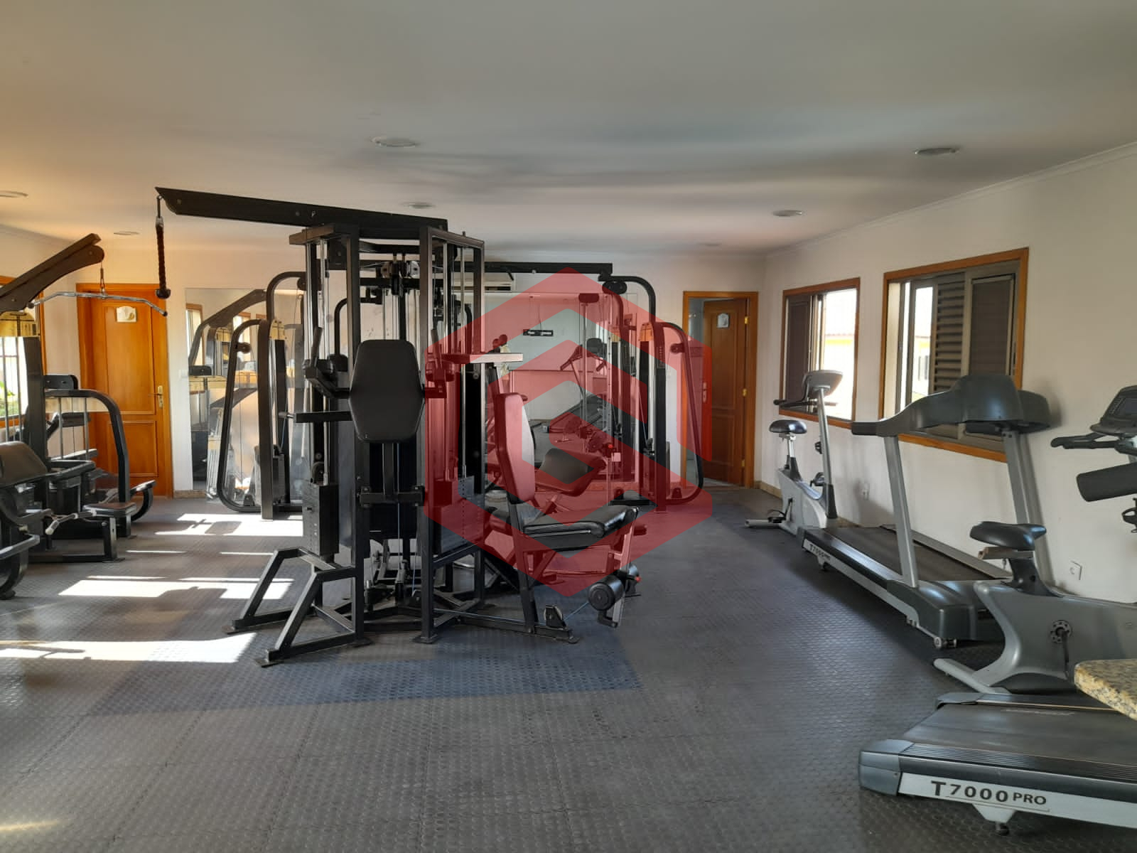 WhatsApp Image 2026-02-13 at 11.44.35