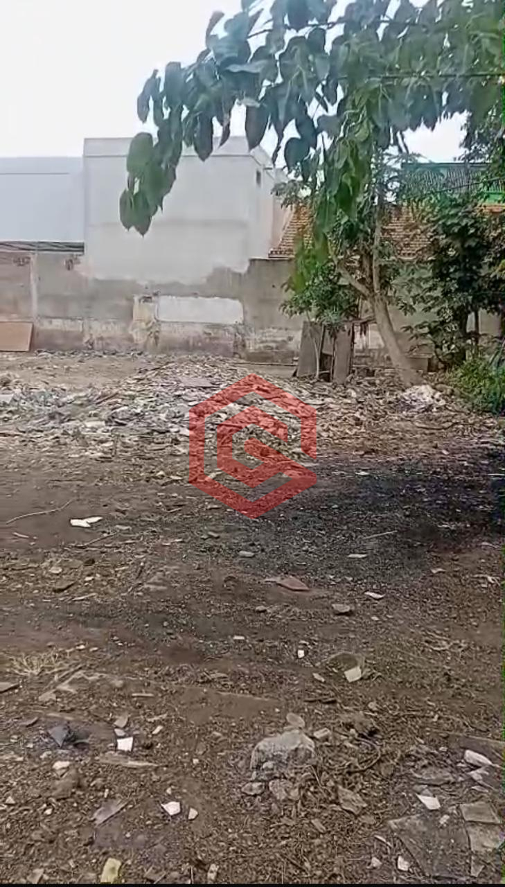 WhatsApp Image 2026-02-19 at dgr