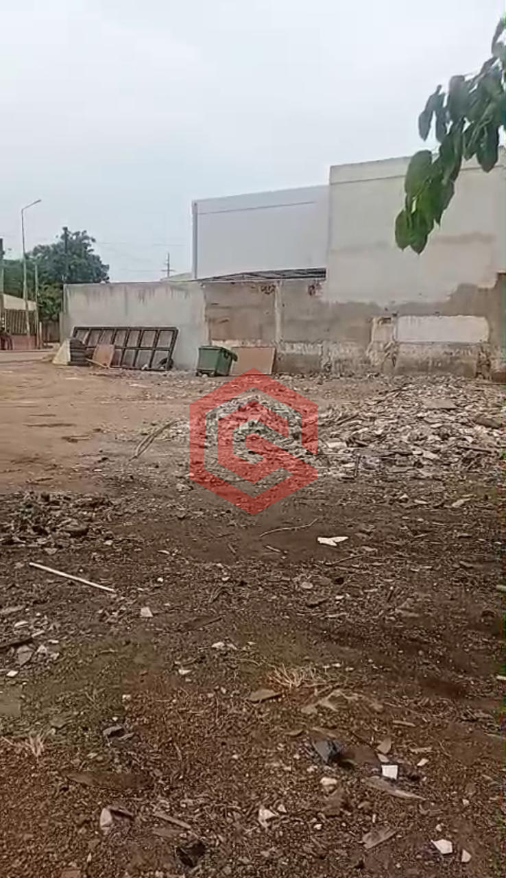 WhatsApp Image 2026-02-19 at erjr