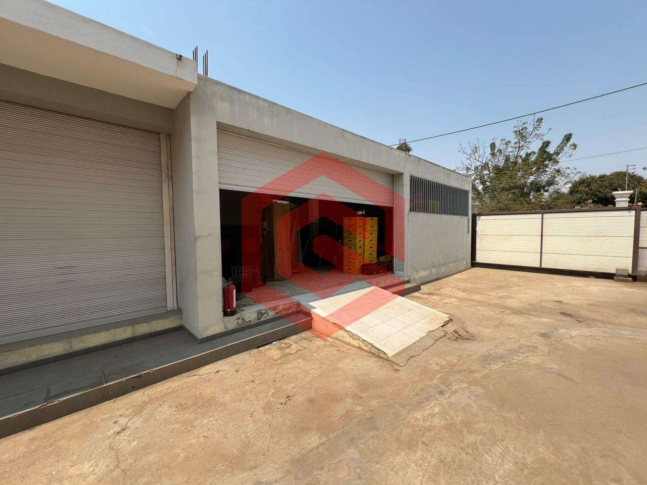 WhatsApp Image 2026-02-19 at eryk