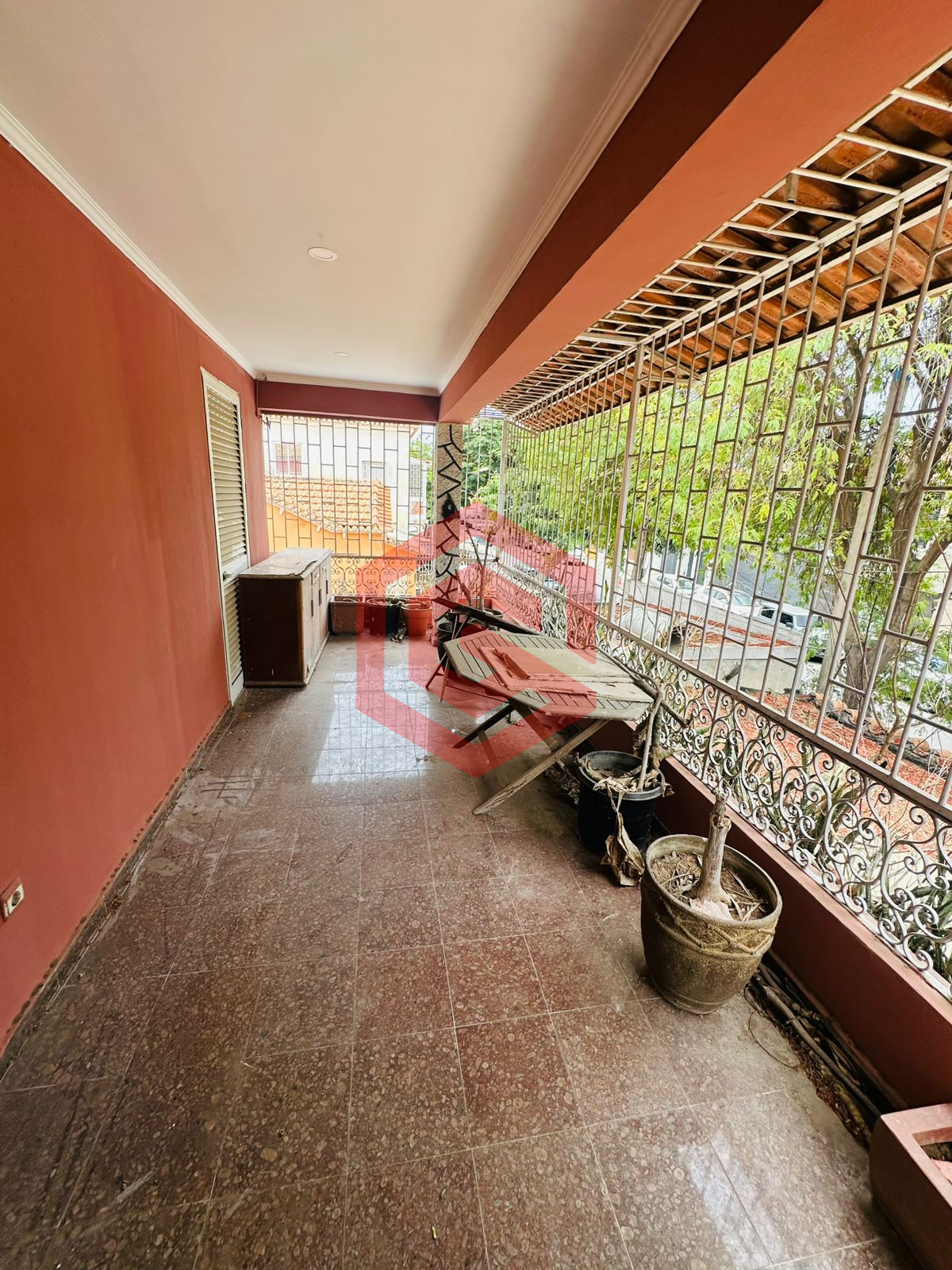 WhatsApp Image 2026-03-04 at wegy