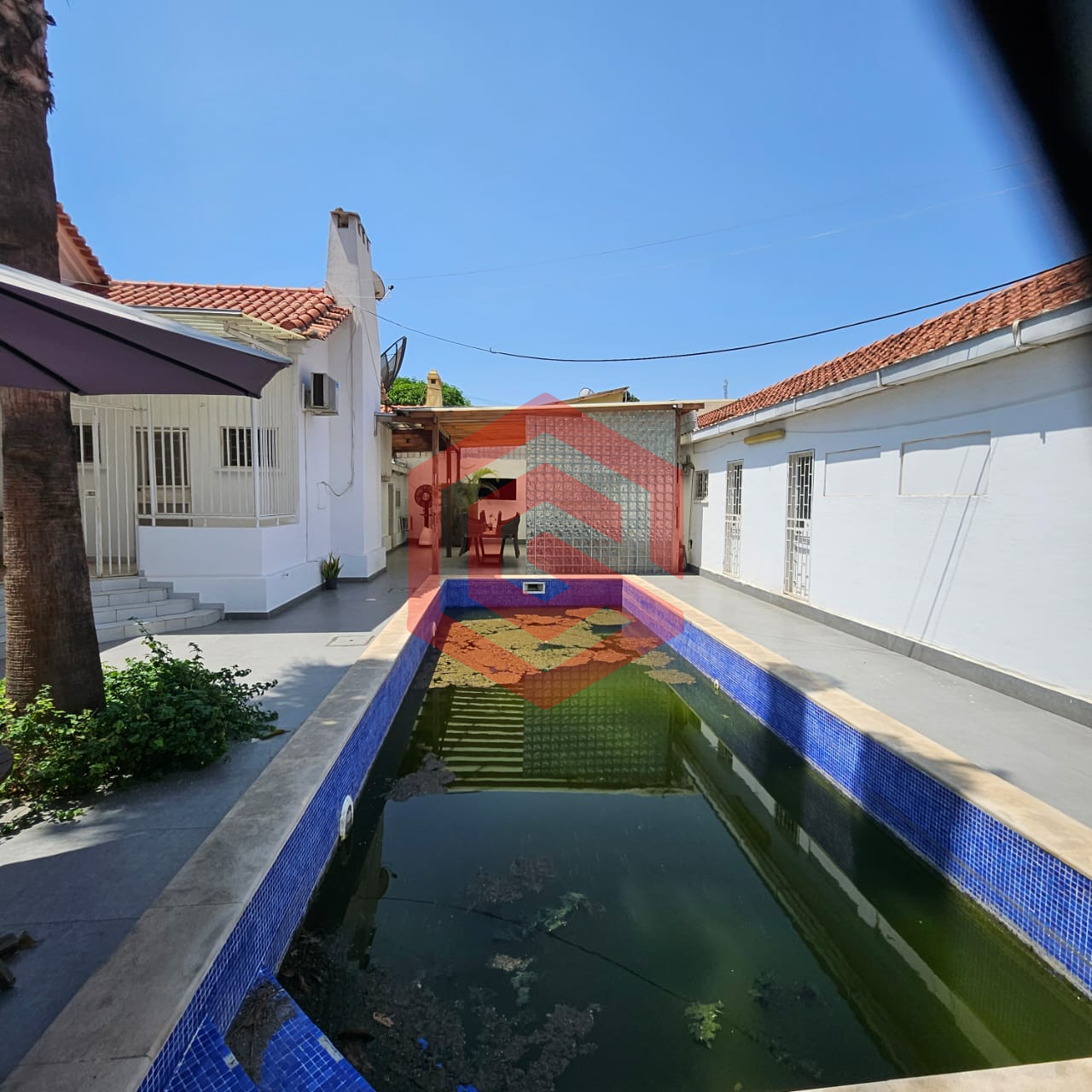 WhatsApp Image 2026-03-25 at fhjjkj