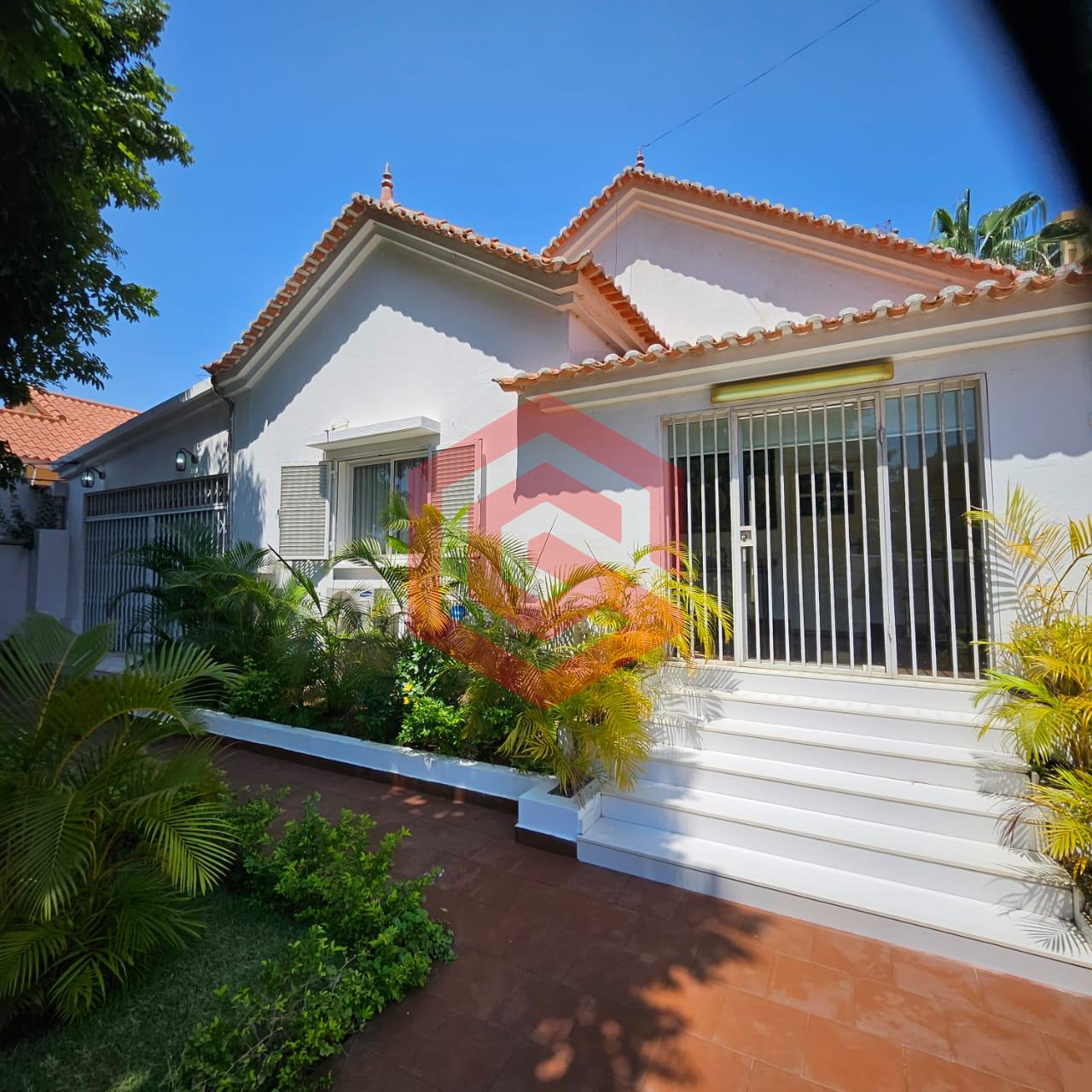 WhatsApp Image 2026-03-25 at fjgfkj