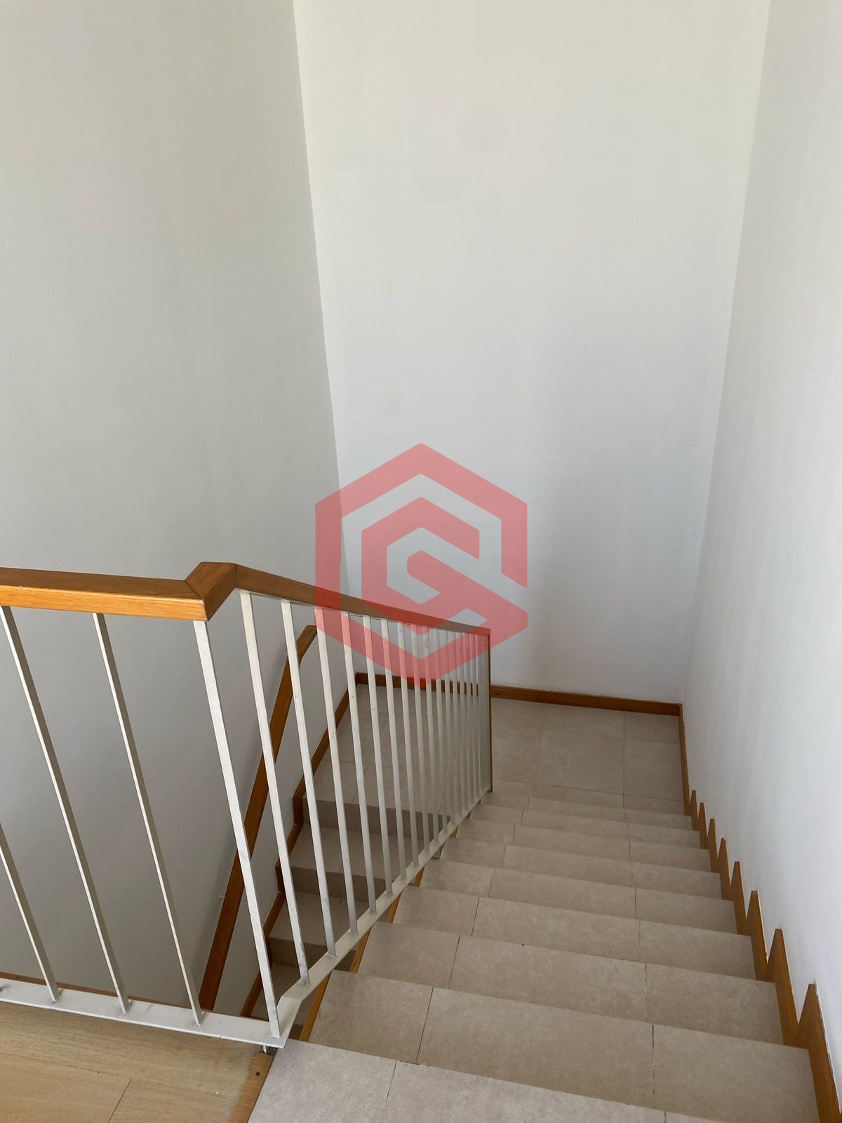 WhatsApp Image 2026-03-28 at dsfgfg